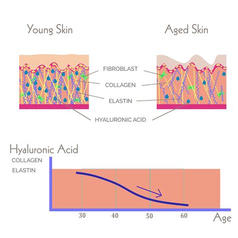 thickness of skin